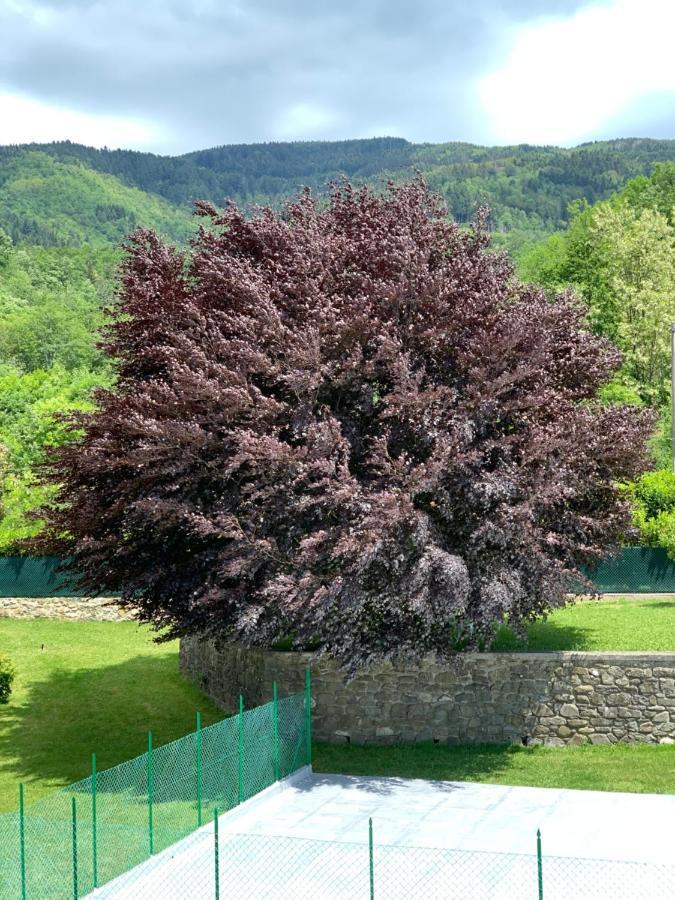 Nidi Del Faggio Rosso - Family Holiday Home Maresca Eksteriør billede